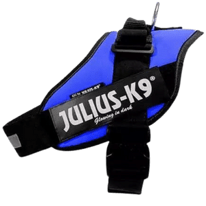 JULIUS-K9 IDC® HUNDSELE