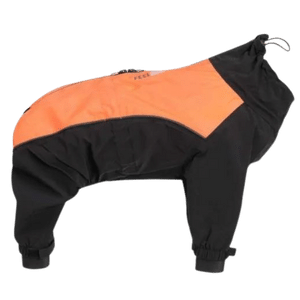 Feel Active helsingborg