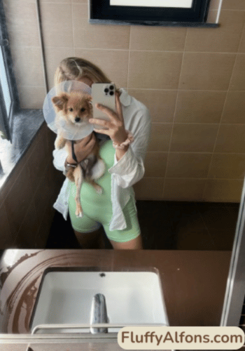 Täcker hundförsäkring medicin